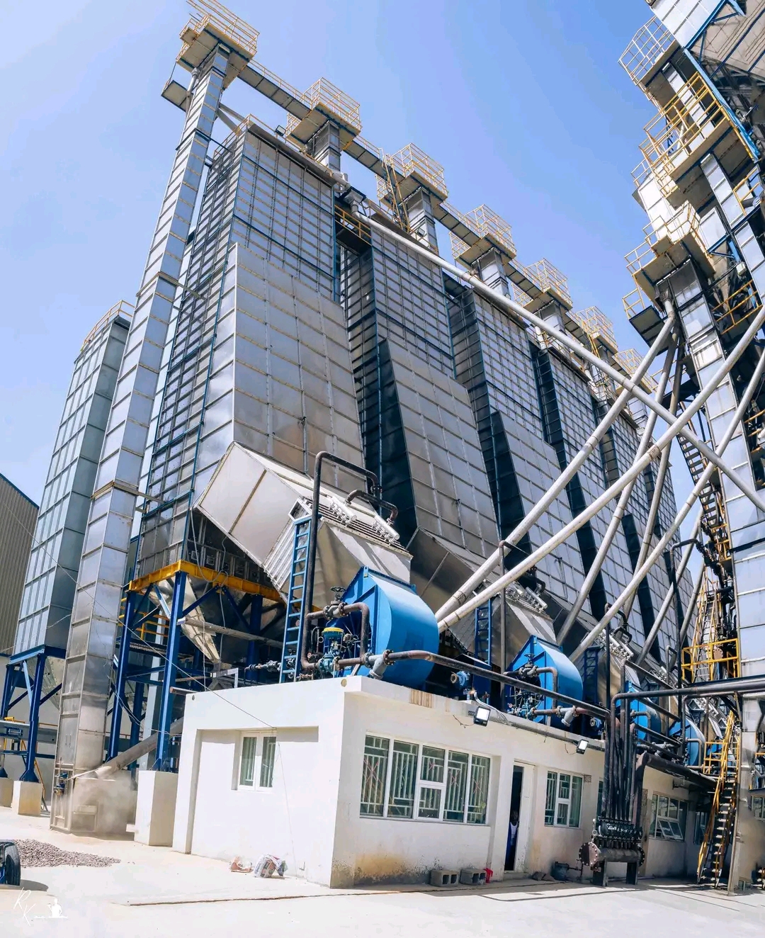AA Rano Conglomerate Launches Rano Rice, Committing to High-Quality ...